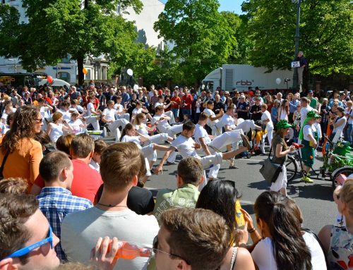 Capoeira Akademie Berlin: Karneval der Kulturen